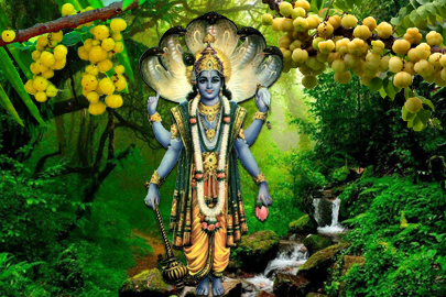 Amla Ekadashi 2024 Date, Time, & Tithi