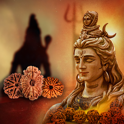 Rudraksha means Rudra (Shiva)’s aksha (tears)