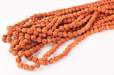 Rudraksha mala benefits according the rudraksha jabala upnishad 