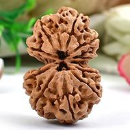 GAURI SHANKAR NEPALI RUDRAKSHA