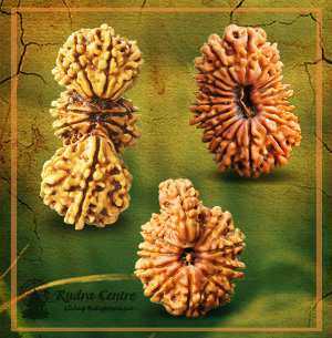 Importance of Rudraksha