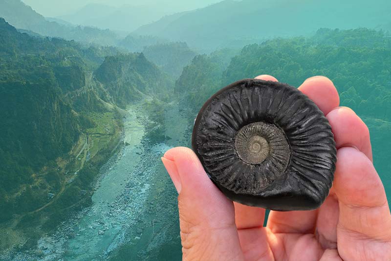 IDENTIFICATION OF ORIGINAL SHALIGRAM SHILA STONE