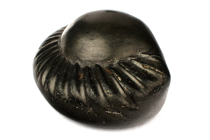 IDENTIFICATION OF ORIGINAL SHALIGRAM SHILA STONE