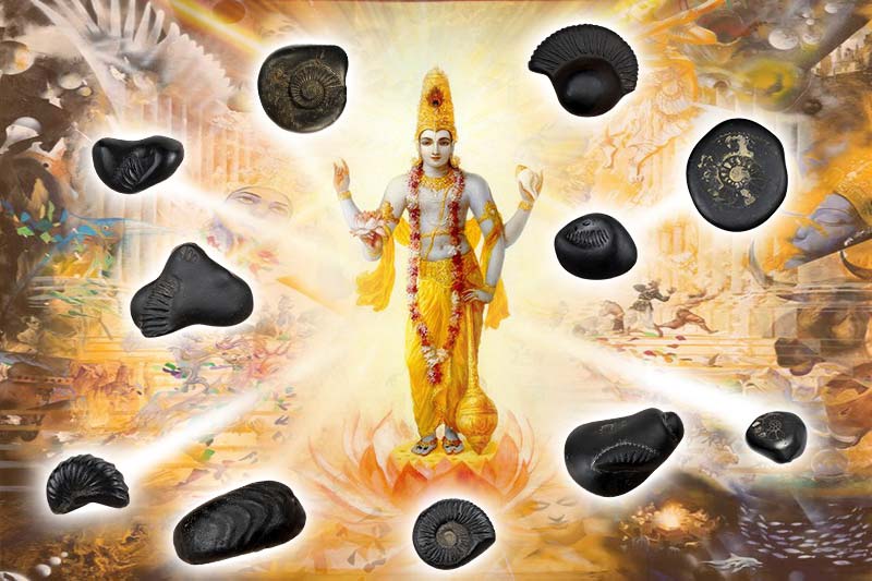 TYPES OF SHALIGRAM