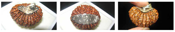 Other fake mukhi Rudraksha & Rudraksha malas