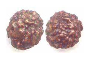 Fake Rudraksha