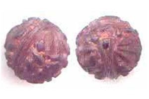 Fake Rudraksha